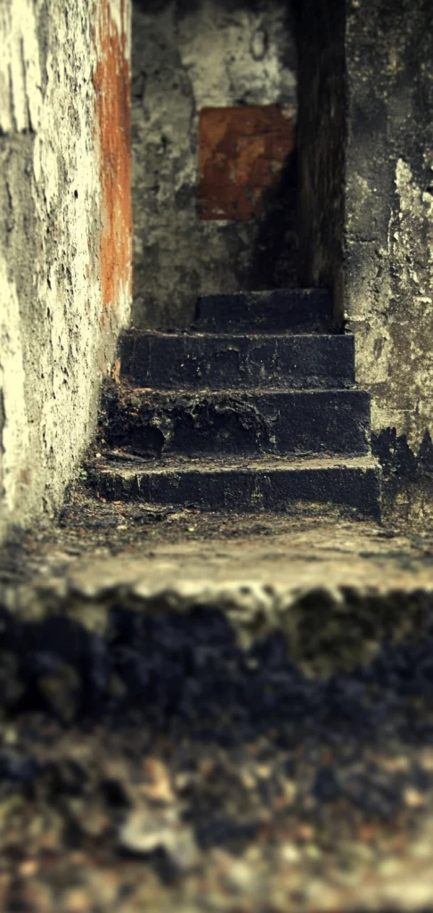 Rustic Monochrome Texture Contrast - Modernism