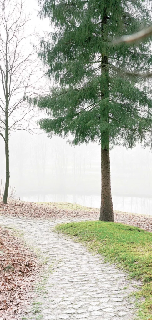 Bright Gradient Landscape - Cool Tone