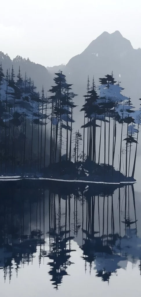 Cool Toned Contrast with Bold Red - Cool Tone