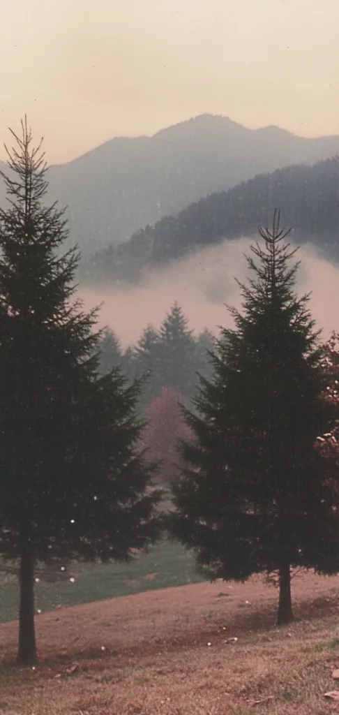 Muted Soft Focus Scenes - Natural